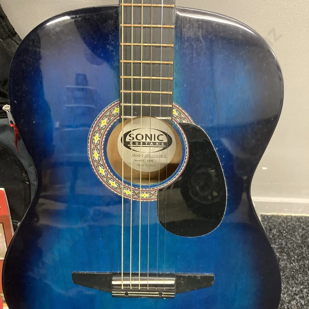 Sonic Blue/Black Acoustic Guitar With Greg Horne's Beginning Acoustic Guitar Book & CD With Ritter Classic Guitar Bag Image 1++